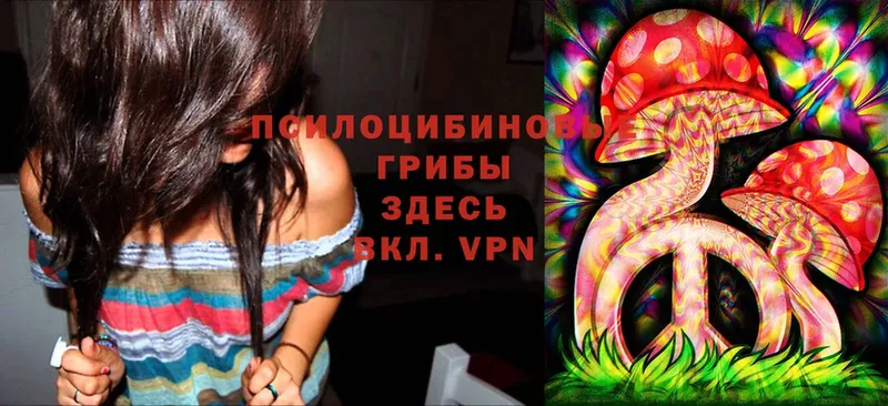 Псилоцибиновые грибы Magic Shrooms  Братск 